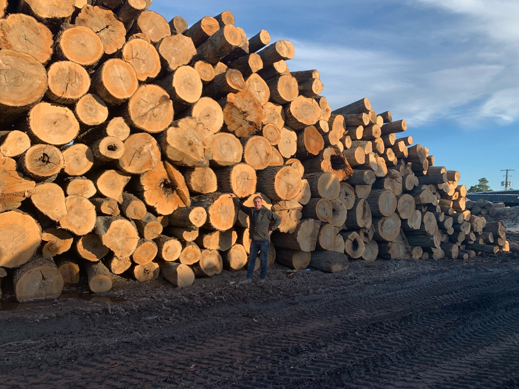 Gallery Lakeshore Forest Products