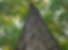 IMG_1709.jpeg