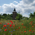 20200622_131558.jpg