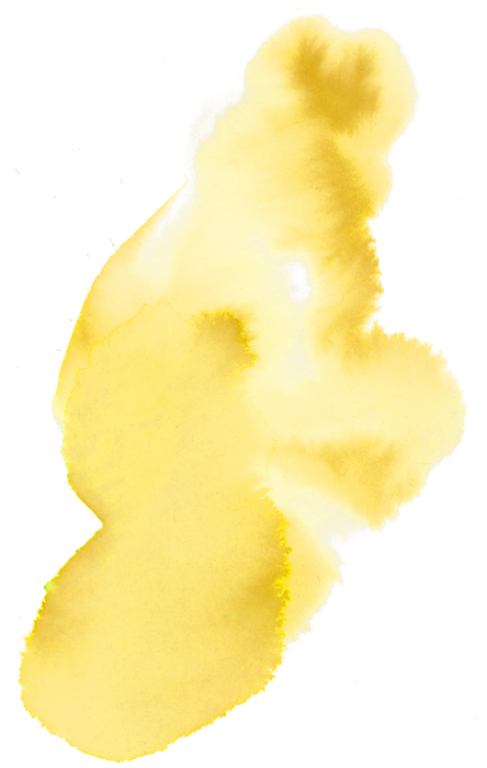 BIG YELLOW.png