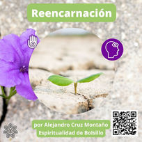 Reencarnar