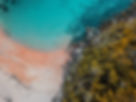 resources_banner.jpg