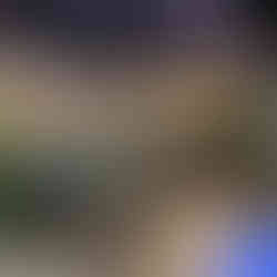 8687 - Eighty Six Eighty Seven - Estate Veldstone Covered Patio 01.jpg