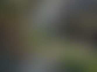 8687 - Eighty Six Eighty Seven - Estate Fynbos Bar 01.jpg