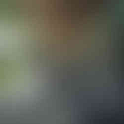 8687 - Eighty Six Eighty Seven - Estate Fynbos Living Room 01.jpg