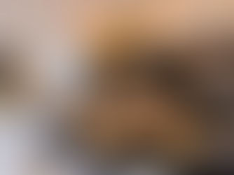 8687 - Eighty Six Eighty Seven - Estate Veldstone Dining Room 01.jpg