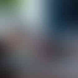 8687 - Eighty Six Eighty Seven - Estate Wisteria Vases 01.jpg