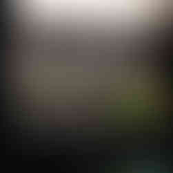 8687 - Eighty Six Eighty Seven - Estate Veldstone Covered Patio 01.jpg