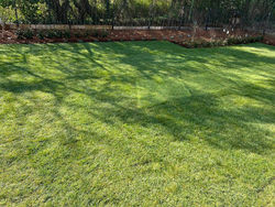 Création de pelouses