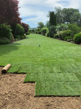 Aménagement paysager