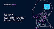 Level 4 Lymph Nodes: Lower Jugular