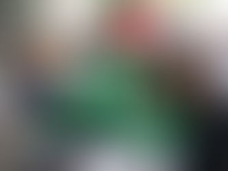 Ramgo Seeds Brings a New Hope to Onion Growers with the Launch of NEW RED MIRACLE PLB F1