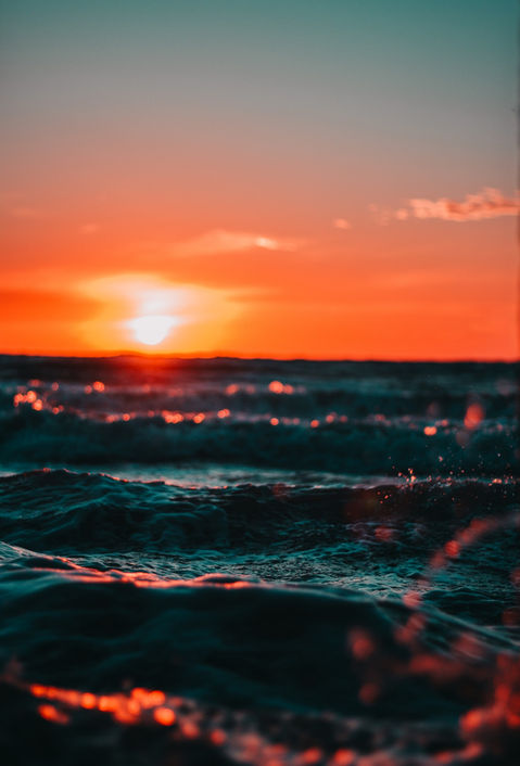 Coralreefviews.jpg
