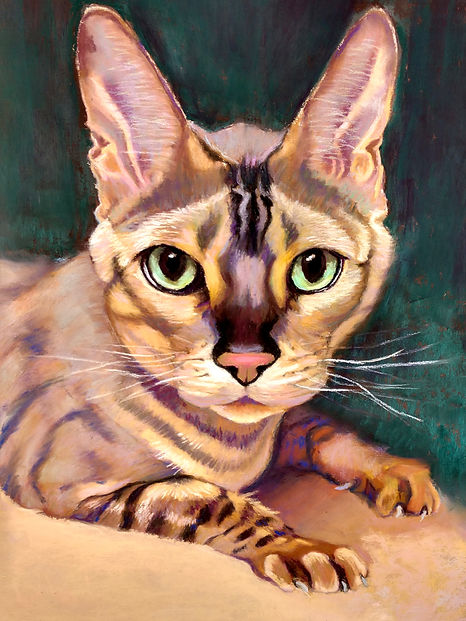 IMG_20240610_164633603_HDR_edited.jpg