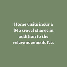 Home Visits Fee.png