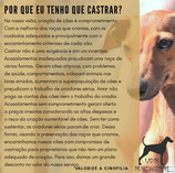 Castração