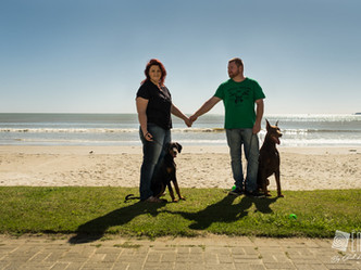 O que é um canil de criação de cães de raça?