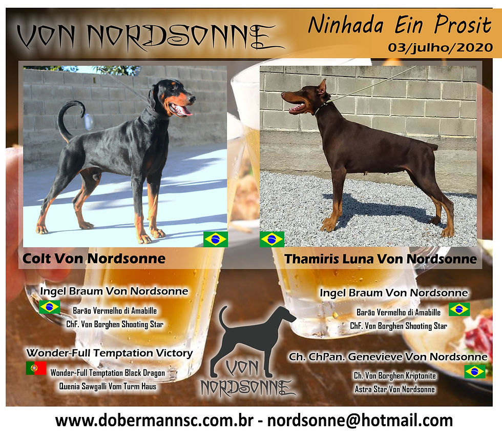 Cartaz ninhada Dobermann I prosit