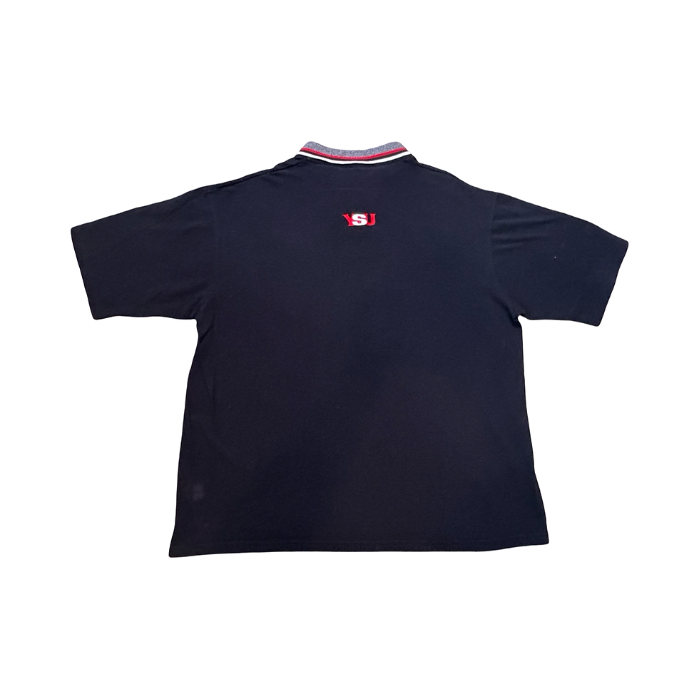 Thumbnail: 90s YSU Polo 23x28