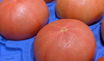 107862_0.jpg