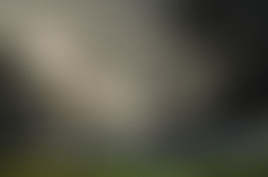 Books That Made a Double Capricorn (Me) Cry