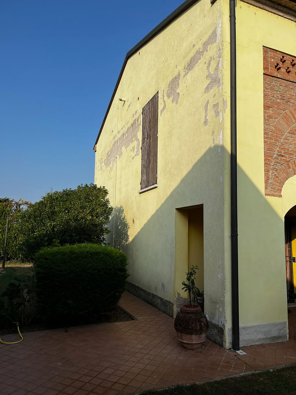 Foto del prima di una tintaggiatura svolta a Carpi