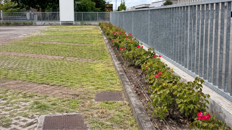 Sistemazione del verde realizzata a Carpi