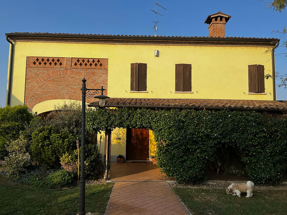 Foto del prima di una facciata svolta a Luzzara