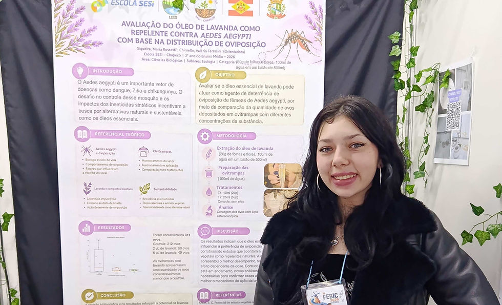 Projetos investigam os efeitos dos microplásticos, a relação entre urbanização e decomposição da matéria orgânica e o potencial da lavanda no controle do mosquito Aedes aegypti