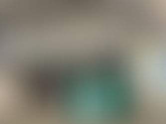 Falcões do Oeste foi vice-campeã da Copa Sul