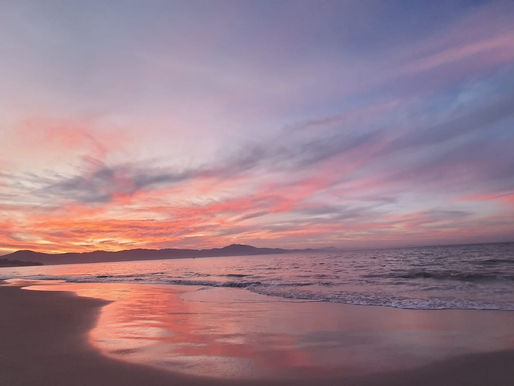 Florianópolis recebe mostra gratuita em homenagem ao Dia do Fotógrafo