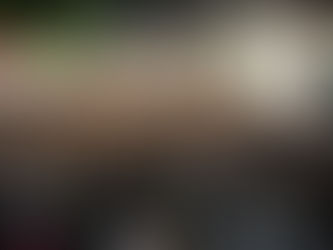 Viva Folia BC 2026 inicia nesta sexta-feira