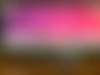 Evento na Alesc mobiliza lideranças femininas para o Agosto Lilás