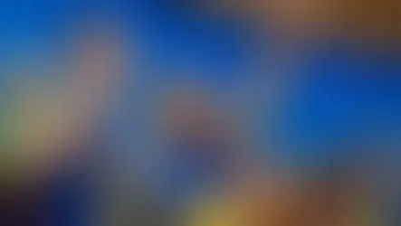 João Rodrigues é oficializado candidato ao governo de SC