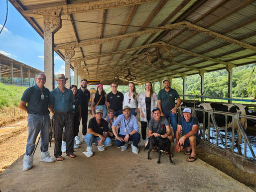 Gestão, genética e manejo elevam produtividade e renda