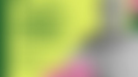 PROGRAMA VIVER REALIZA BRECHÓ EM CHAPECÓ