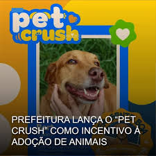 A iniciativa faz parte das ações realizadas em prol do Abril Laranja, campanha de conscientização e prevenção contra a crueldade animal