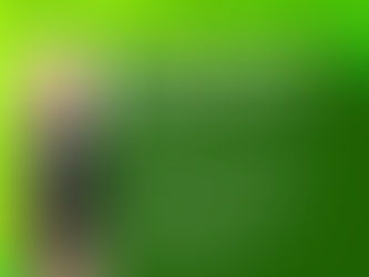 Curso em Chapecó aborda oportunidades de vendas para o poder público