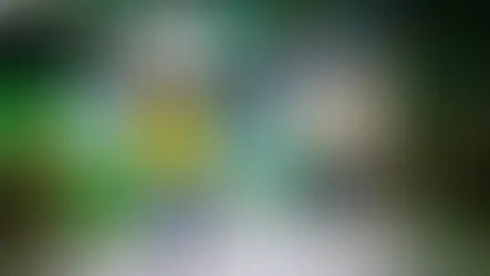 Em SC, Flávio dá o tom da campanha: “O Brasil precisa ser resgatado”