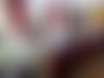 FAESC debate desafios da safra do arroz em reunião com o governador