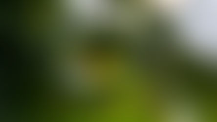 A bordo do Chevrolet #87, Jorge Martelli mira reação imediata