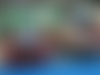 VEÍCULOS DE CORRIDA EXPOSTOS NA EFAPI