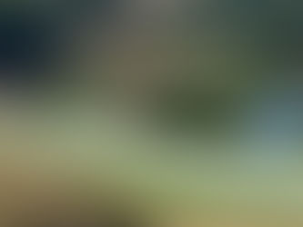 Governo de SC envia para Alesc programa para impulsionar investimentos em até R$ 26 bilhões e gerar 40 mil vagas de emprego no campo