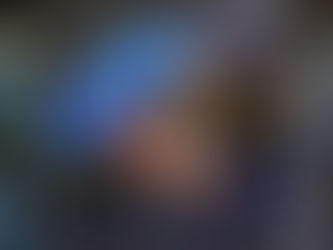 Santa Catarina abre 256 mil empresas no ano e bate recorde histórico