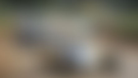 ZanoelloCup anuncia programação da etapa de abertura