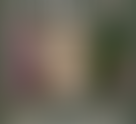 Exposição "Série Floresta", de Rosiane Rosa Guimarães