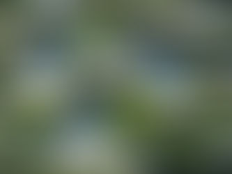 Sustainable built environment and the Developing World