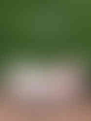 Lake Country Wedding Venue photo backdrop