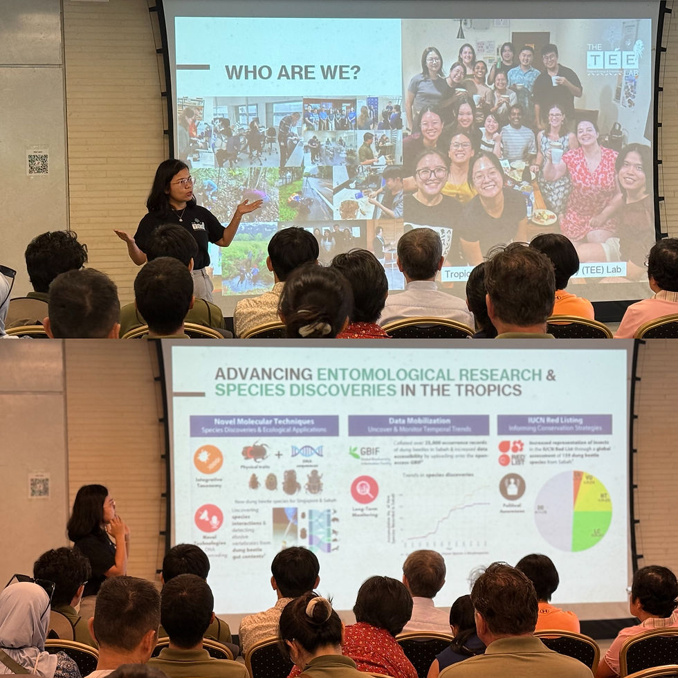 Dr Chiew introduces TEE Lab to the audience. (Photo credit: Juat Ying, GBTB Sustainability Office)