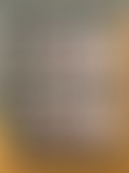 2025年お歳暮のお取り扱い承り中